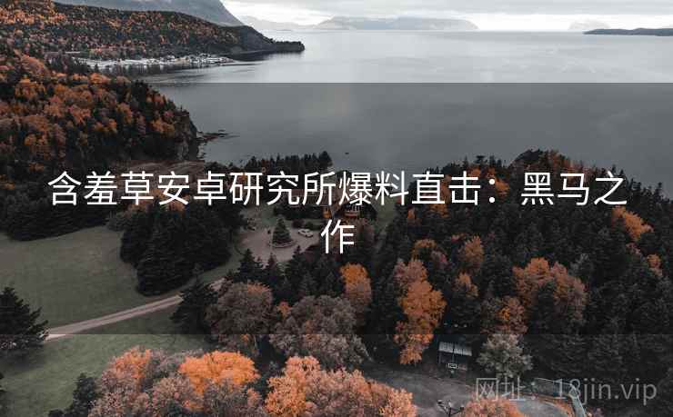 含羞草安卓研究所爆料直击：黑马之作