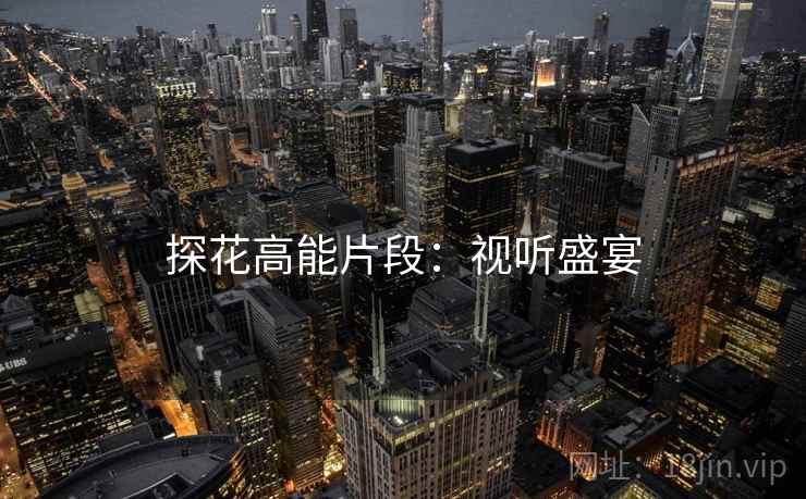 探花高能片段：视听盛宴