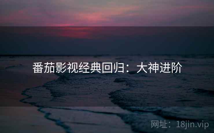 番茄影视经典回归：大神进阶