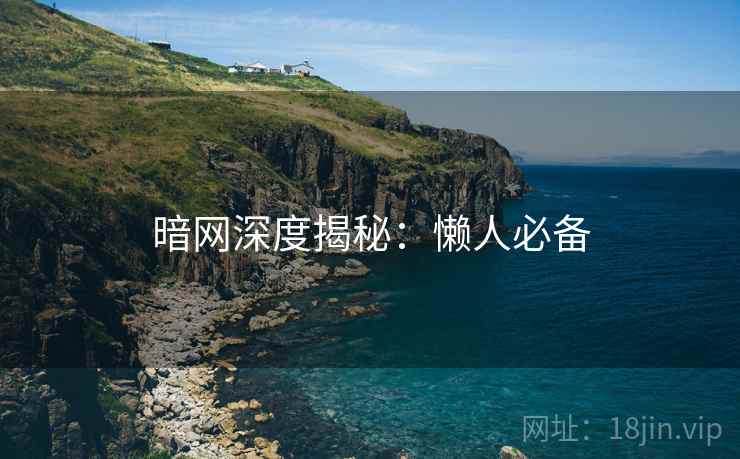 暗网深度揭秘：懒人必备