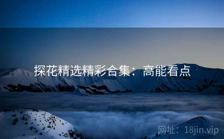 探花精选精彩合集：高能看点