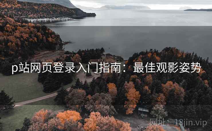 p站网页登录入门指南：最佳观影姿势