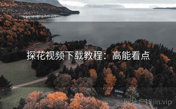 探花视频下载教程：高能看点